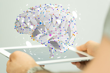 中华人民共和国野生动物保护法国家重点保护的野生动物分为什么