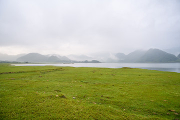 中华人民共和国野生动物保护法国家重点保护的野生动物分为什么