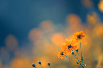 彩泥和太空泥得区别