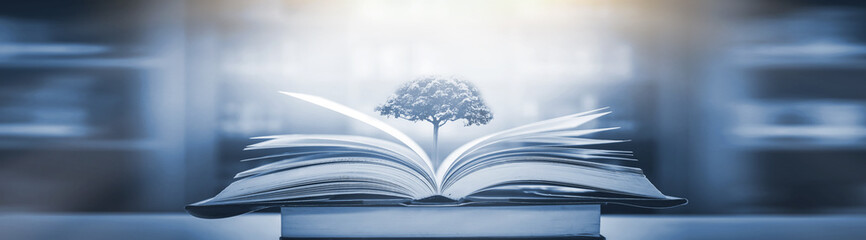 历史上与诸葛亮齐名的是谁