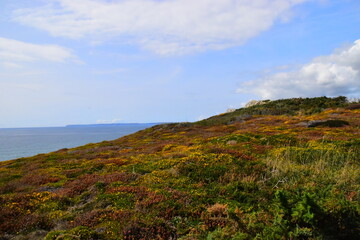 知识产权保护要综合运用什么等多种手段从审查授权行政执法司法保护仲裁调解行