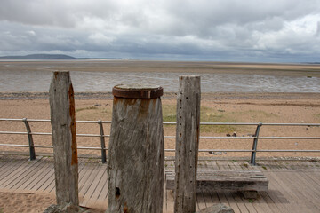 中华人民共和国野生动物保护法国家重点保护的野生动物分为什么