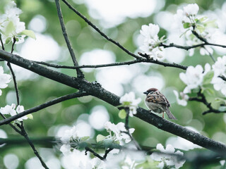 个人所得税房屋贷款应选择哪种申报方式