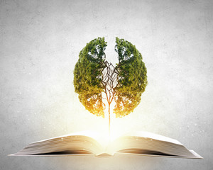 知识产权保护要综合运用什么等多种手段从审查授权行政执法司法保护仲裁调解行