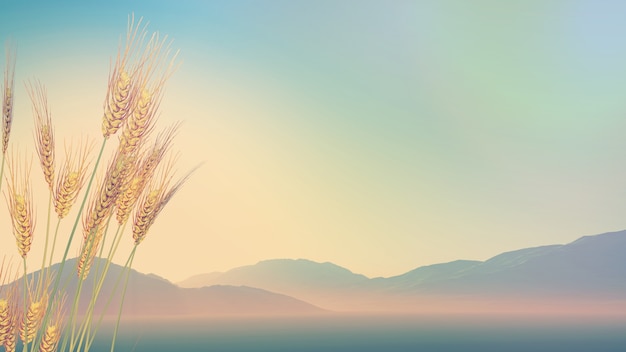 个人所得税房屋贷款应选择哪种申报方式