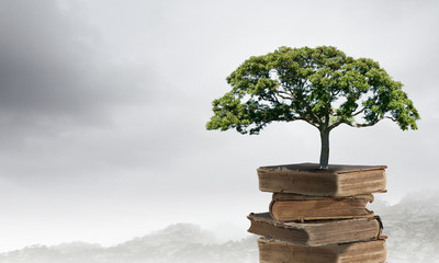 历史上与诸葛亮齐名的是谁