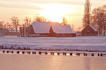 知识产权保护要综合运用什么等多种手段从审查授权行政执法司法保护仲裁调解行